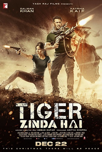 Tiger Zinda Hai (2017) 1/3pDVDRip - x264 - AAC - DDR