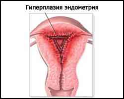 www.ginecolog.kiev.ua
