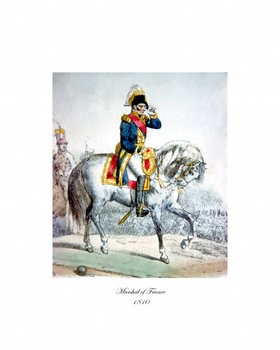 The French Napoleonic Army of Carle Vernet (Uniformology CD-2004-07)