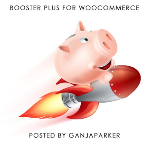 Booster Plus for WooCommerce v3.2.4