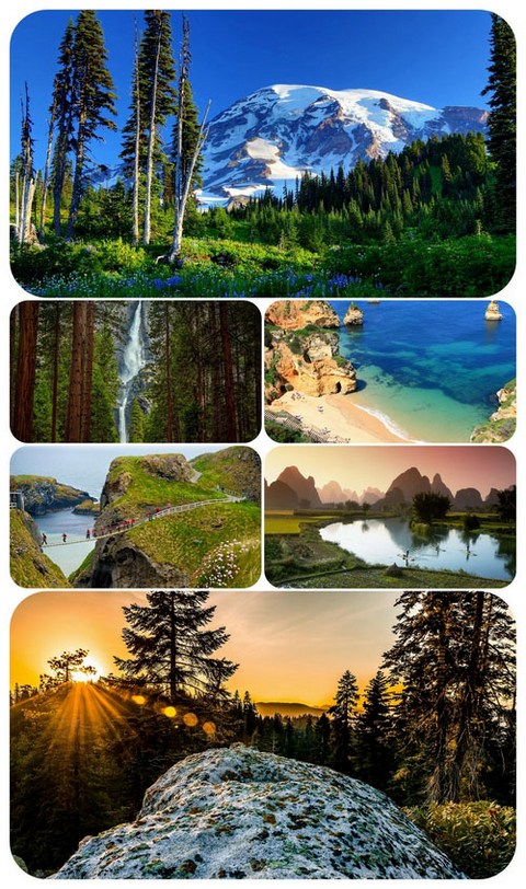 Most Wanted Nature Widescreen Wallpapers #394
