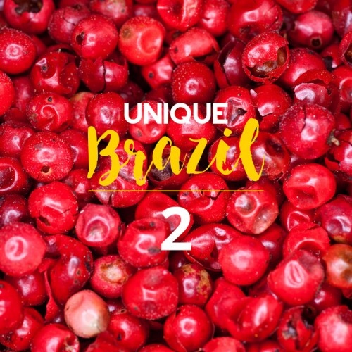 VA - Unique Brazil Vol.2 Brazilian Moods and Bossa Nova Sounds (2017)