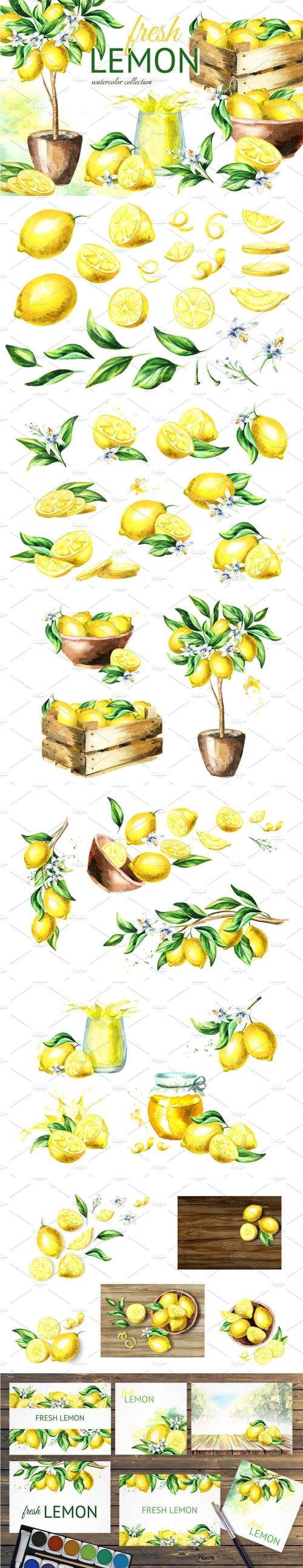 Fresh Lemon. Watercolor Collection - 2182396