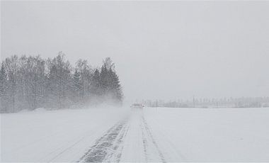 Снегопады на Закарпатье: обесточены 19 населенных пунктов