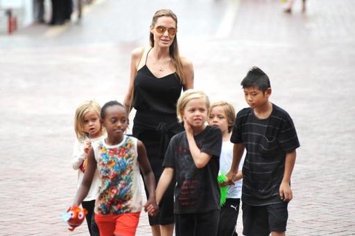Анджелина Джоли и Брэд Питт дерутся за будущее 6 детей