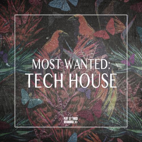 Most Wanted Tech House (2018)