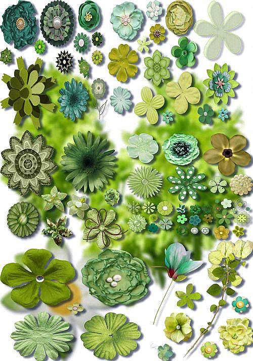 Клипарты на прозрачном фоне - Зеленые цветы