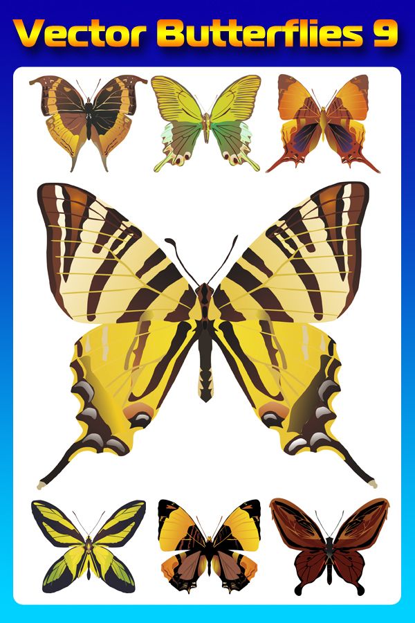 Бабочки (насекомые в векторе) часть девятая