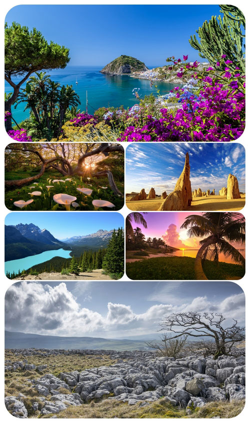 Most Wanted Nature Widescreen Wallpapers #440