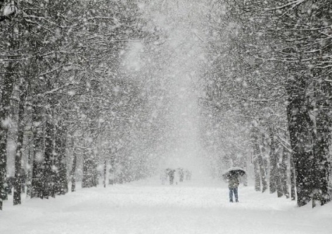 Крым весь день будет заметать снегом [прогноз погоды]