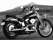 Harley-Davidson покупал часть Alta Motors для творения электромотоциклов / Новинки / Finance.ua