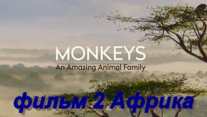 Обезьяны - Удивительное семейство животных (2016) HDTVRip фильм 2 Африка