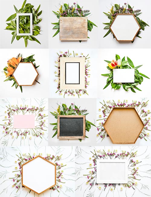       / Backgrounds with flower frames