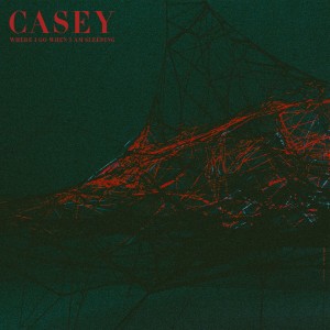 Casey - Where I Go When I Am Sleeping (2018)