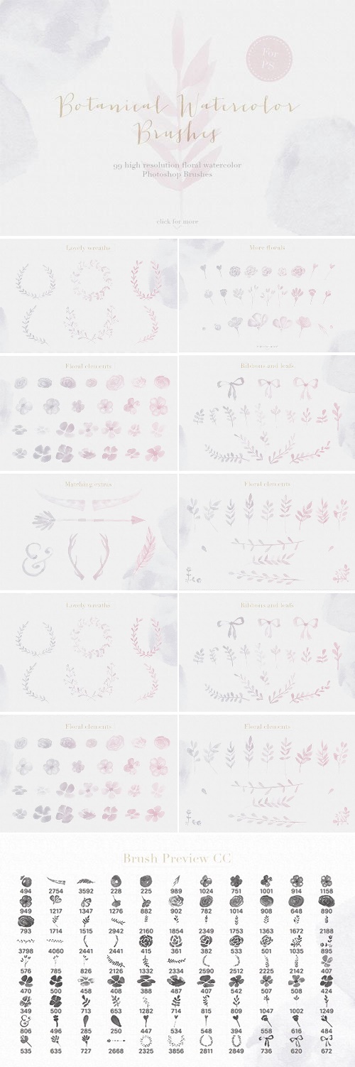 Floral Watercolor Photoshop Brushes - 2350325