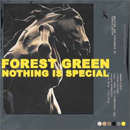 Forest Green - Nothing Is Special (2018)