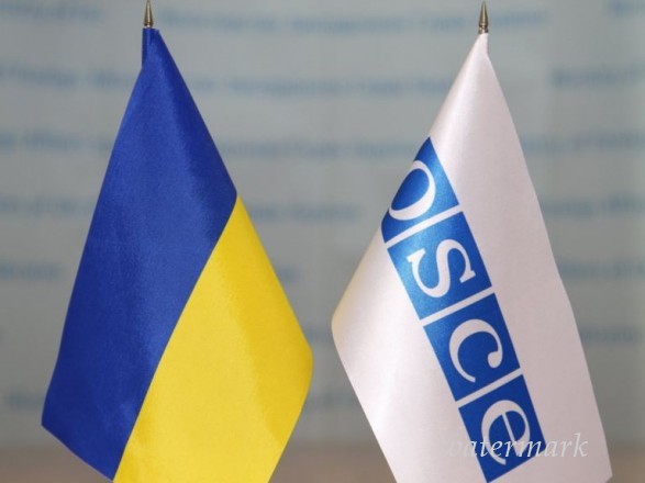 ОБСЕ обратилось к управлению ВР условно закона о особенном статусе Донбасса
