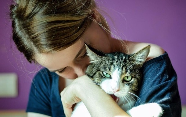 Кошки больше любят женщин – ученые
