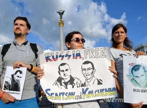 Посольство США в Рф призвал высвободить Сенцова