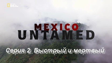 Непокорная Мексика (2018) HDTV  Серия 2. Быстрый и мертвый