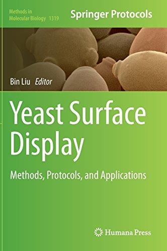 Yeast Surface Display Methods, Protocols, and Applications