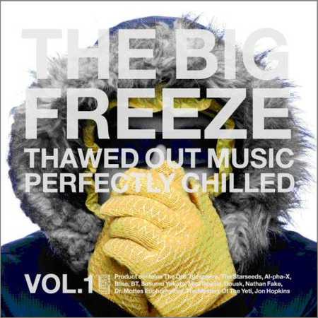 VA - The Big Freeze Vol.1 (2CD) (2006)