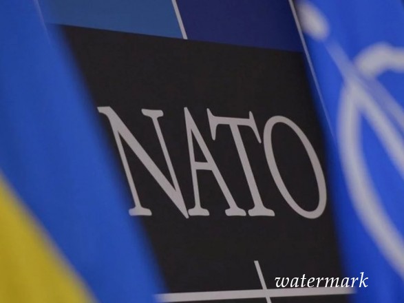 В НАТО откоментировали намерение Украины закрепить евроатлантический курс в Конституции
