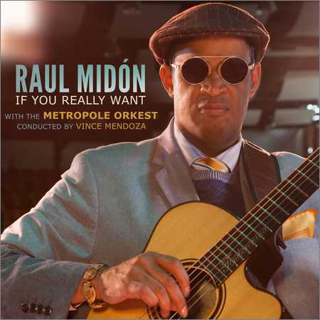 Raul Midon - If You Really Want (2018)