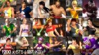 DEAD OR ALIVE 5 Last Round: Core Fighters TECMO 50th Anniversary Edition (2017/ENG/JAP/MULTi8)