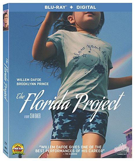The Florida Project 2017 BluRay 1080p DTS 5 1 x264-FraMeSToR