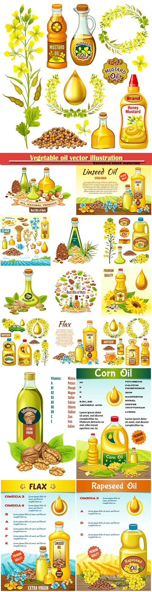 Vegetable oil vector illustration